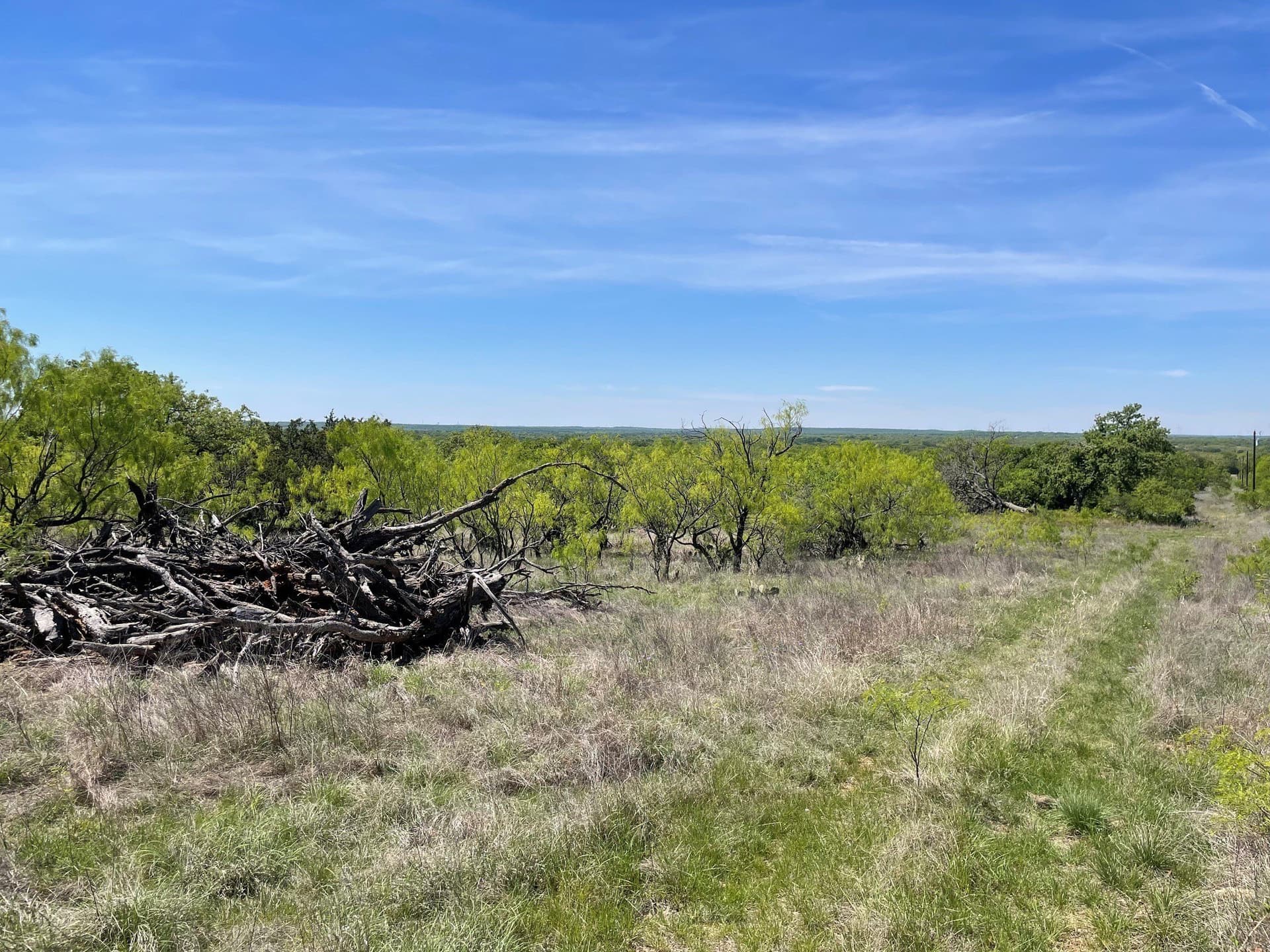 10.02 acres in Eastland County - photo 7