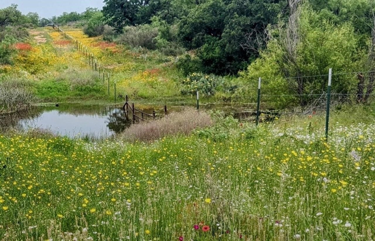 32.37 acres in San Saba County - photo 27