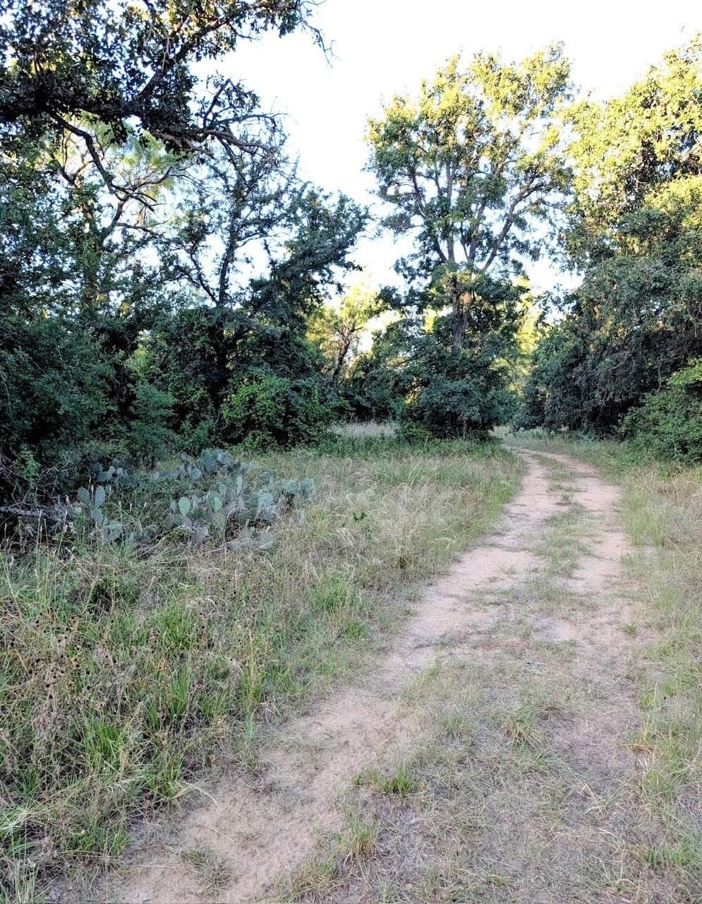 32.37 acres in San Saba County - photo 28