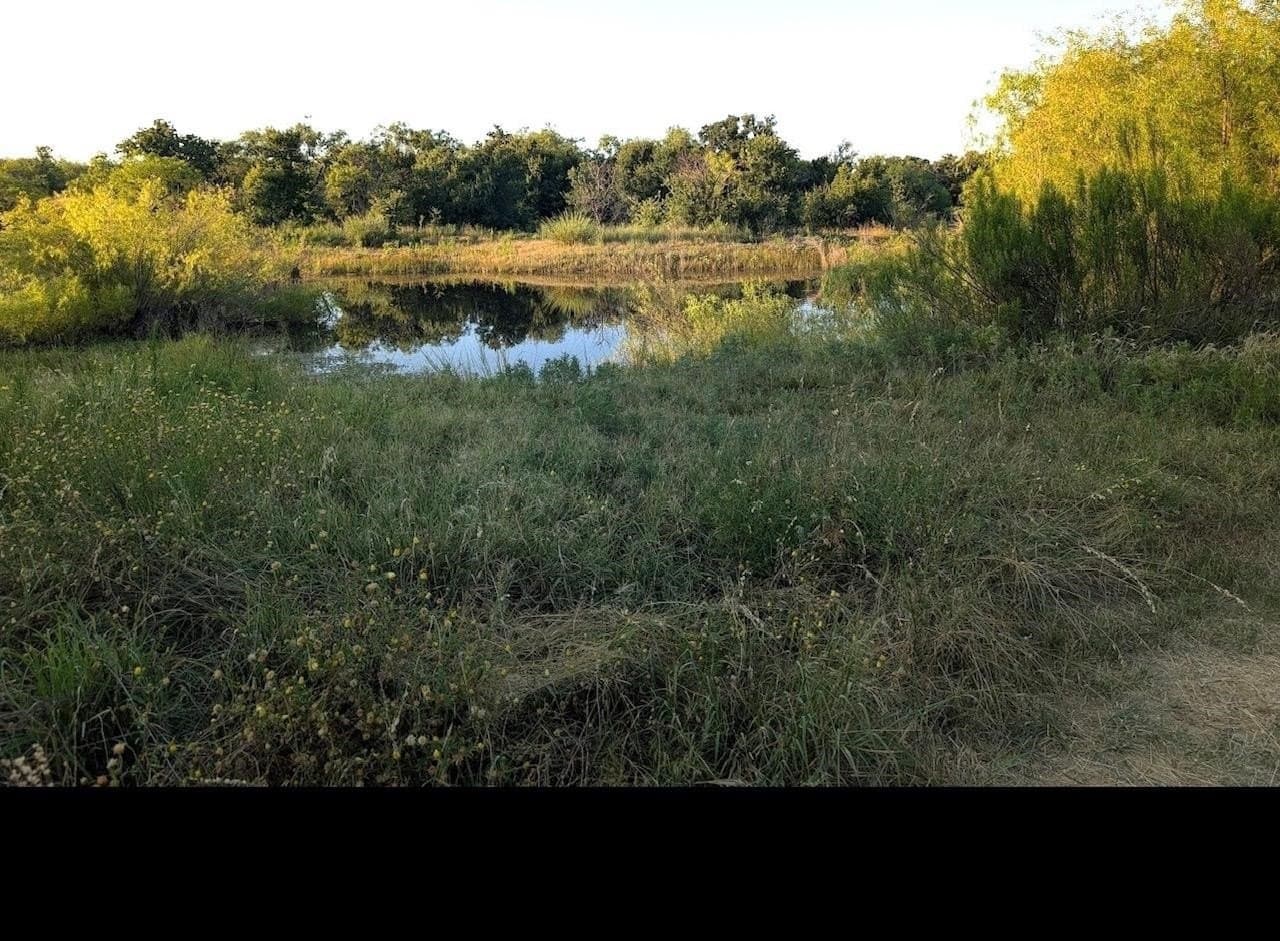 32.37 acres in San Saba County - photo 30