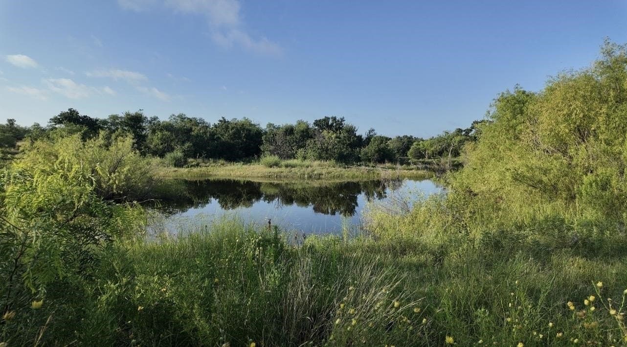 32.37 acres in San Saba County - photo 26