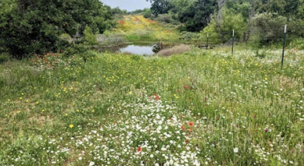32.37 acres in San Saba County - photo 29