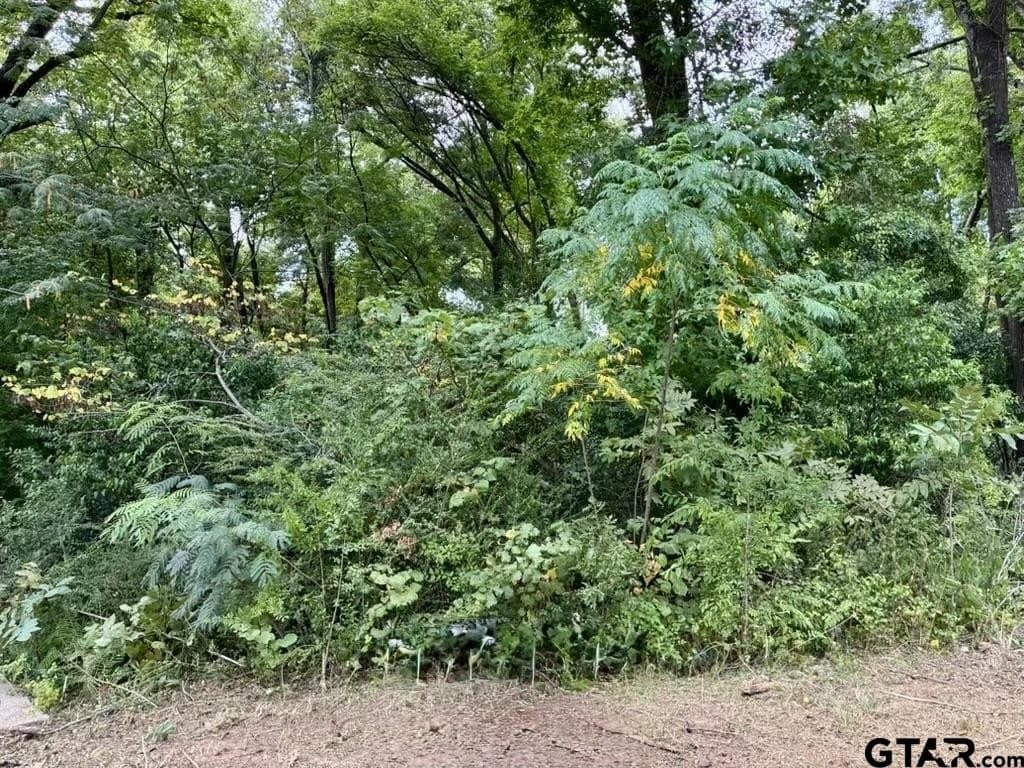 0.26 acres in Smith County - photo 14