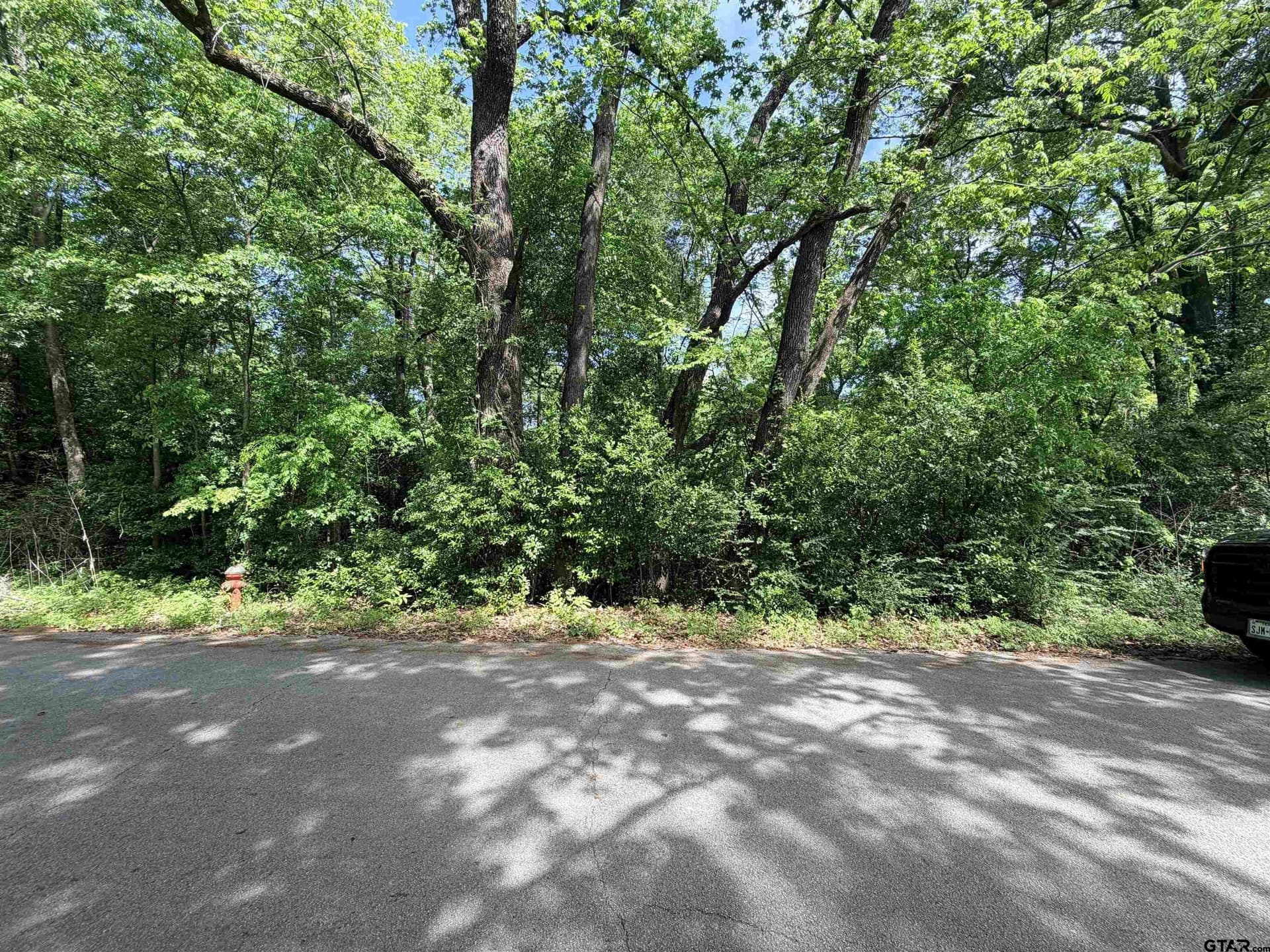0.26 acres in Smith County - photo 8