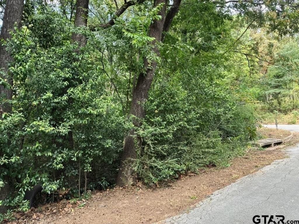 0.26 acres in Smith County - photo 11