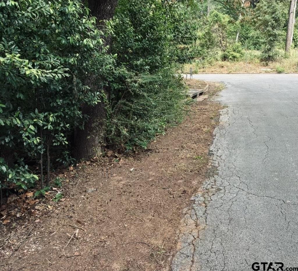 0.26 acres in Smith County - photo 12