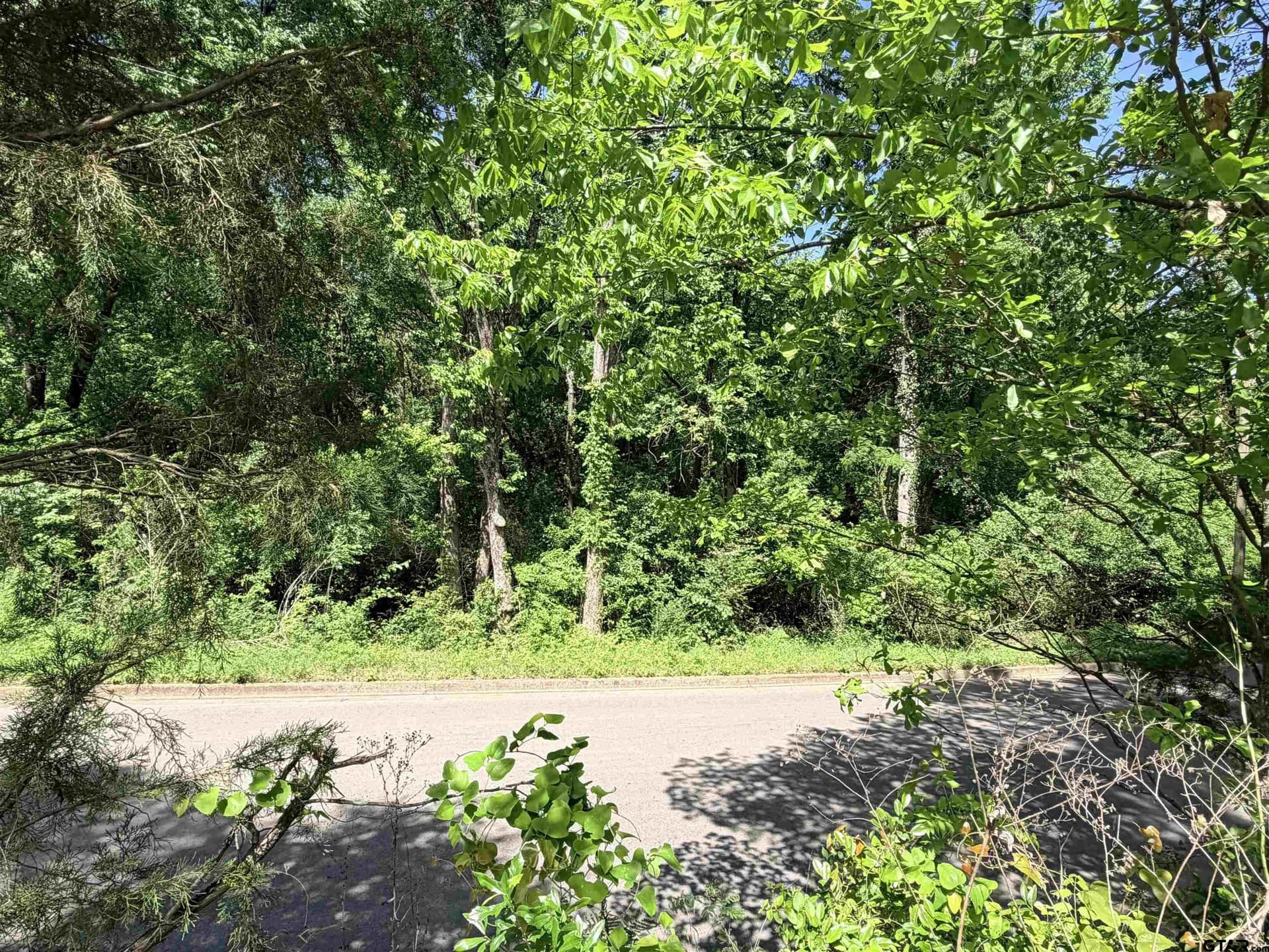 0.26 acres in Smith County - photo 6