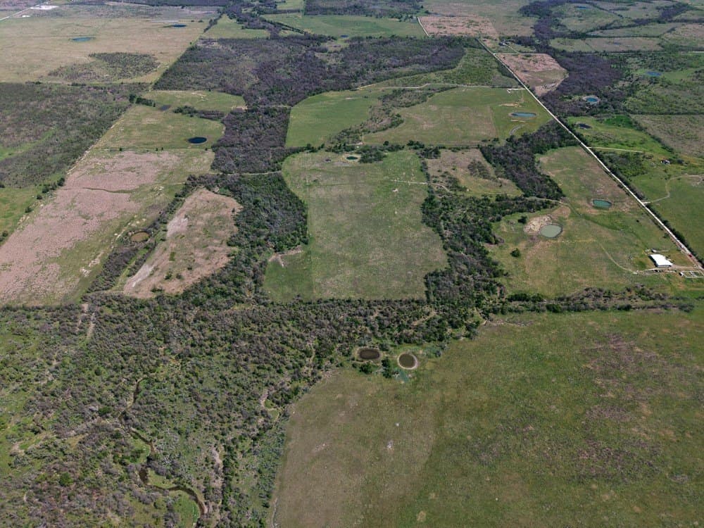 150 acres in Limestone County - photo 24
