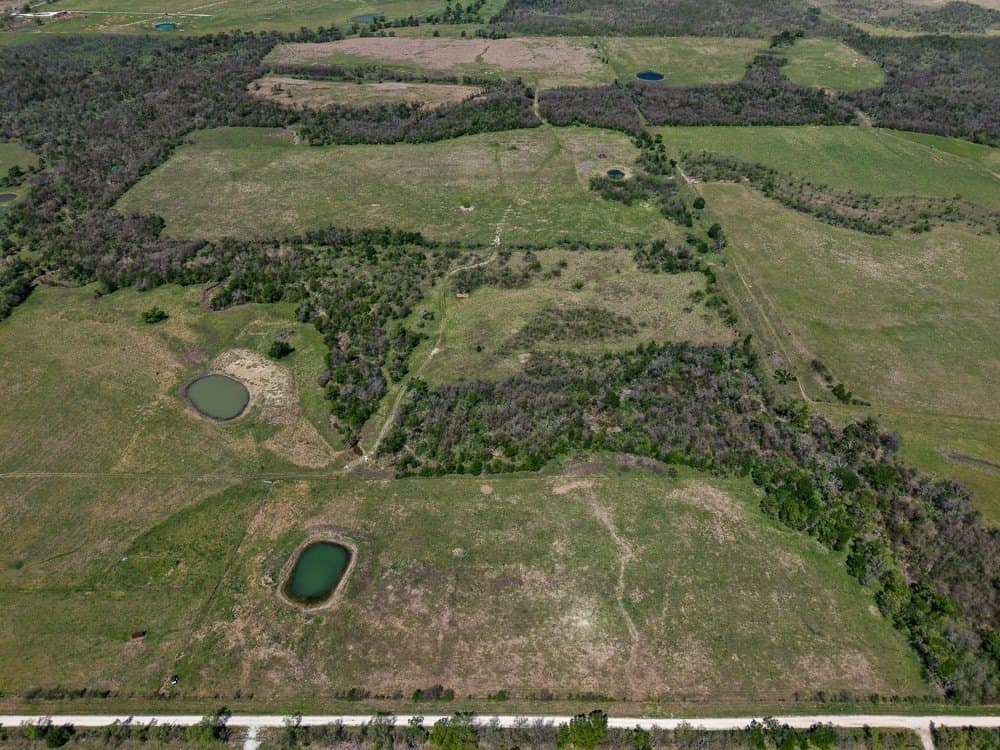 150 acres in Limestone County - photo 9