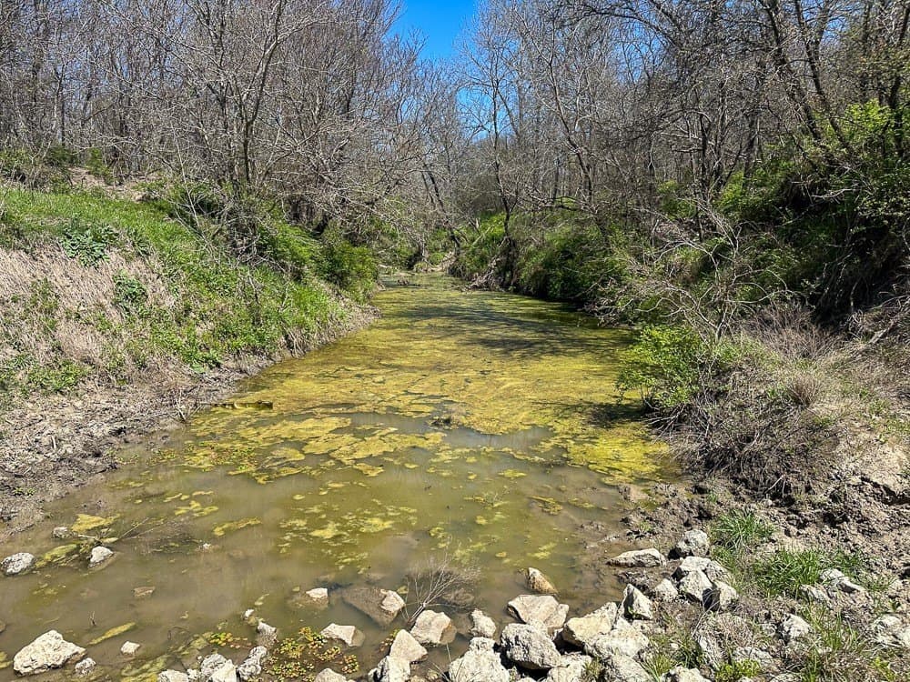 150 acres in Limestone County - photo 12