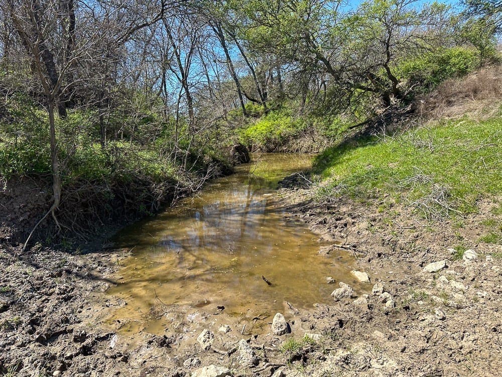 150 acres in Limestone County - photo 13