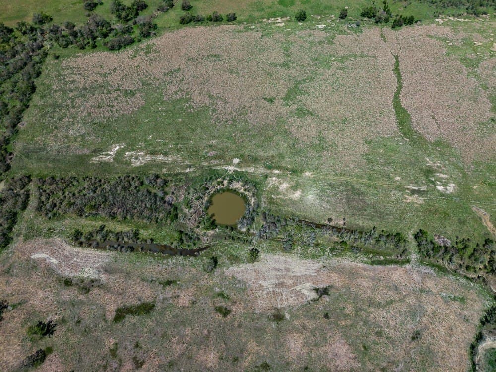 150 acres in Limestone County - photo 23