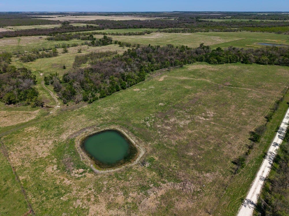 150 acres in Limestone County gallery image 2