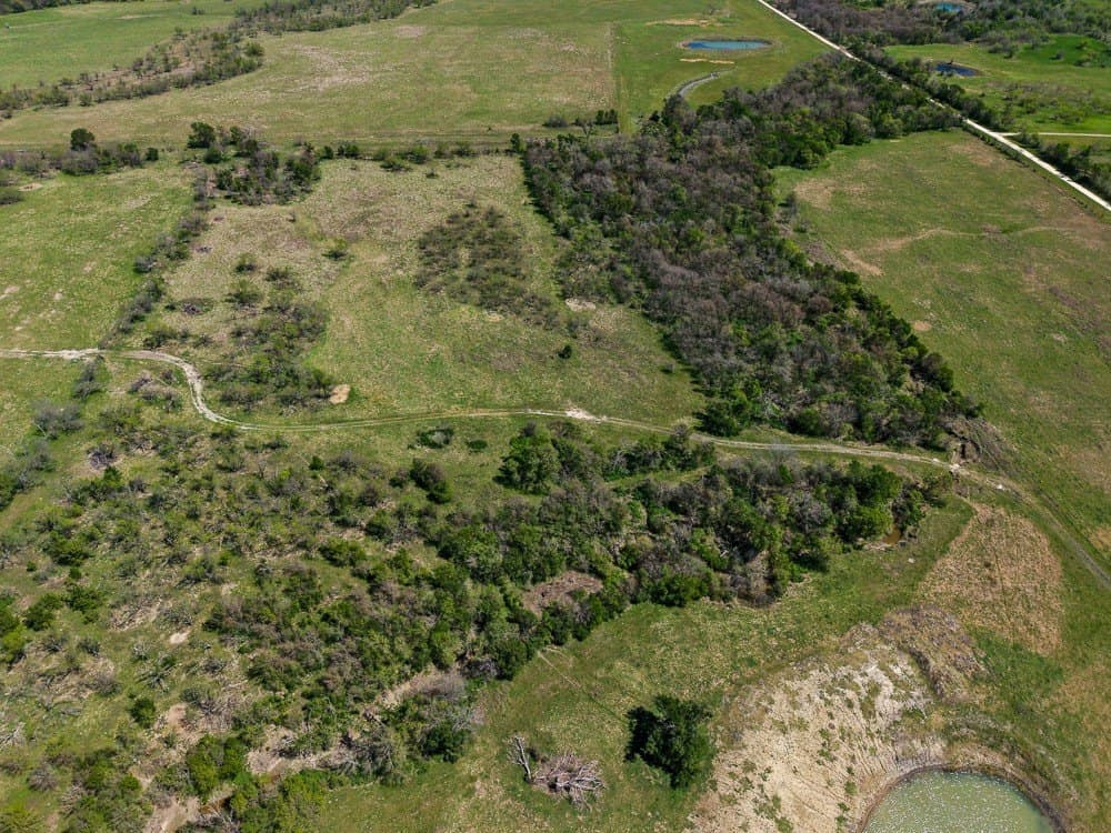150 acres in Limestone County - photo 26