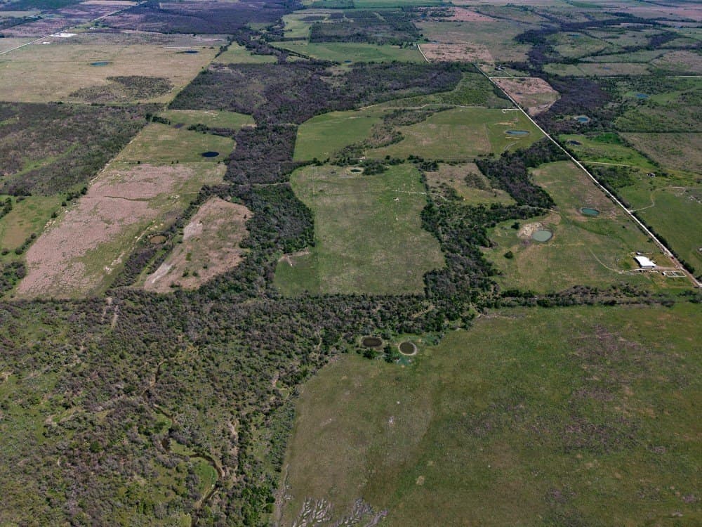 150 acres in Limestone County - photo 7