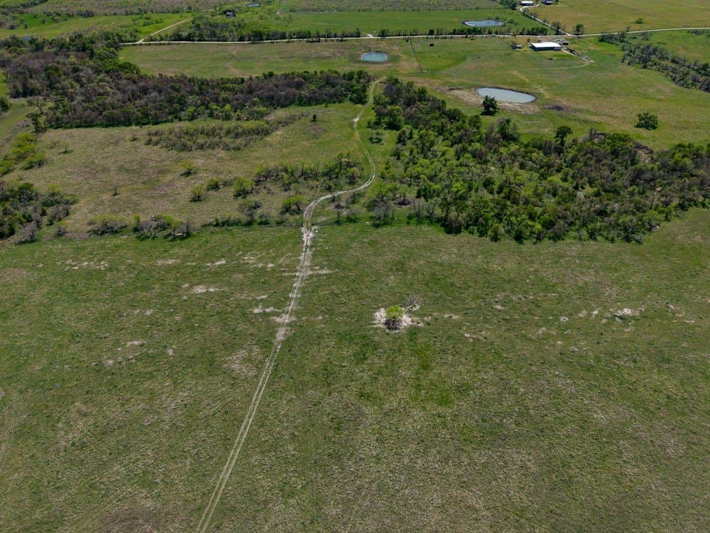 150 acres in Limestone County - photo 6