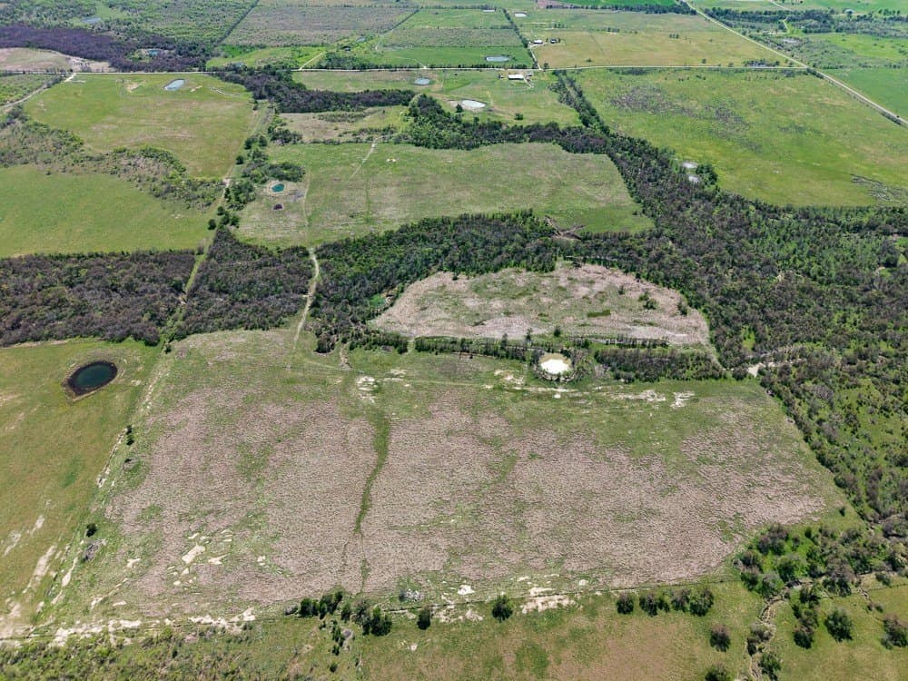 150 acres in Limestone County - photo 18