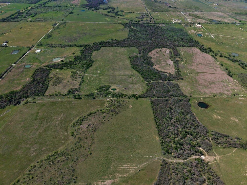 150 acres in Limestone County - photo 8