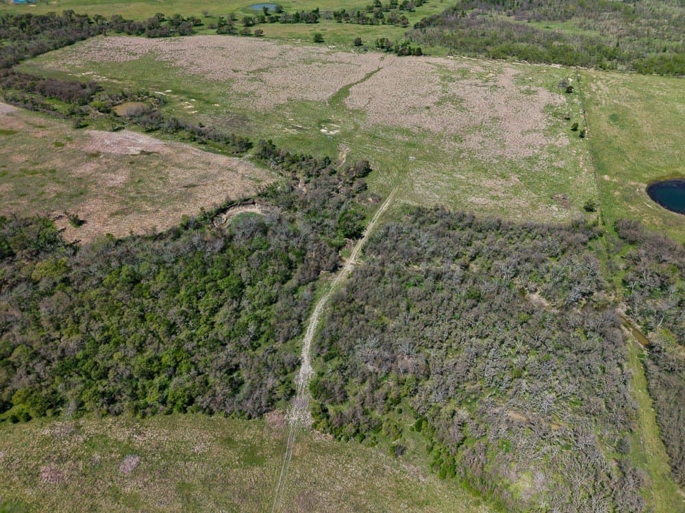 150 acres in Limestone County - photo 16