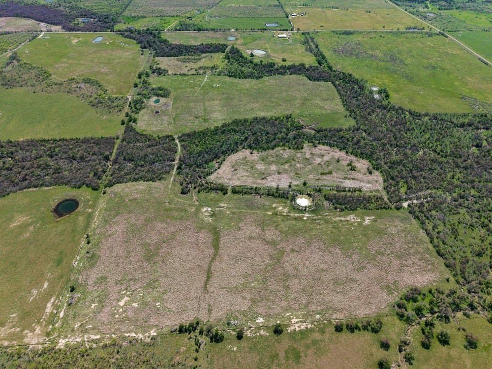150 acres in Limestone County - photo 15