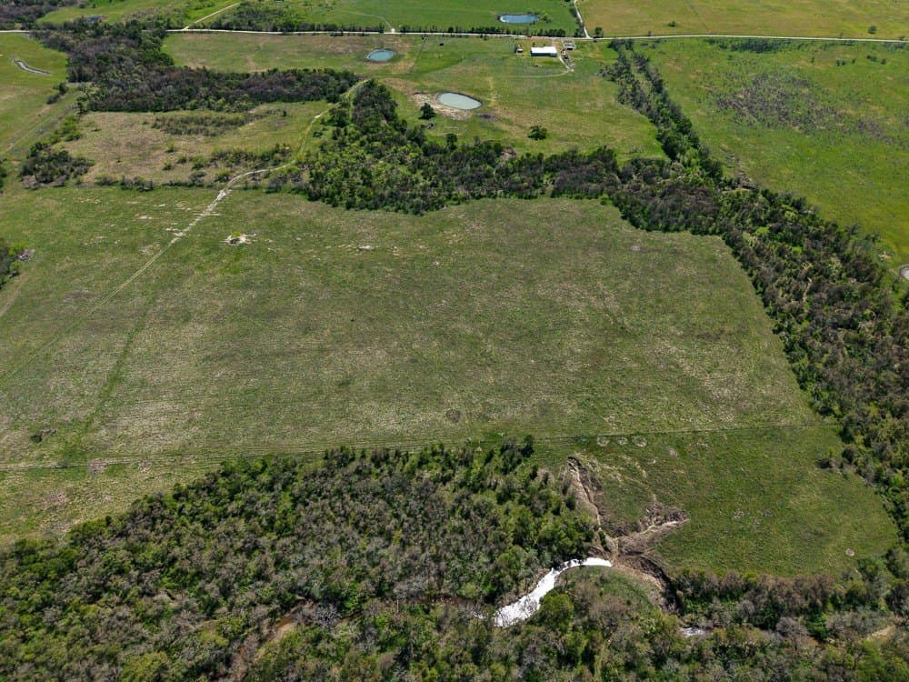 150 acres in Limestone County - photo 17