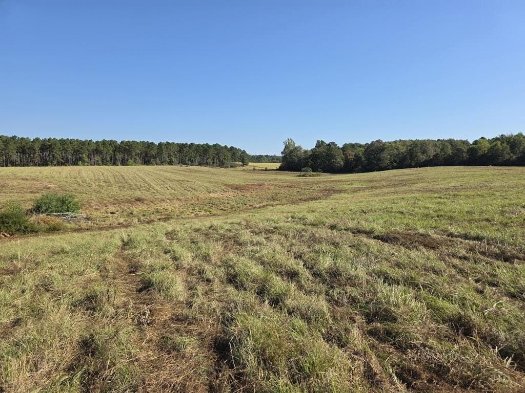 113.6 acres in Texas County - photo 4