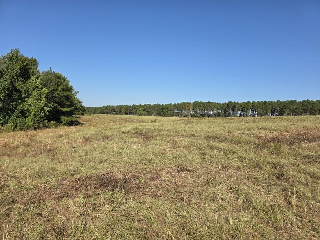 113.6 acres in Texas County - photo 9