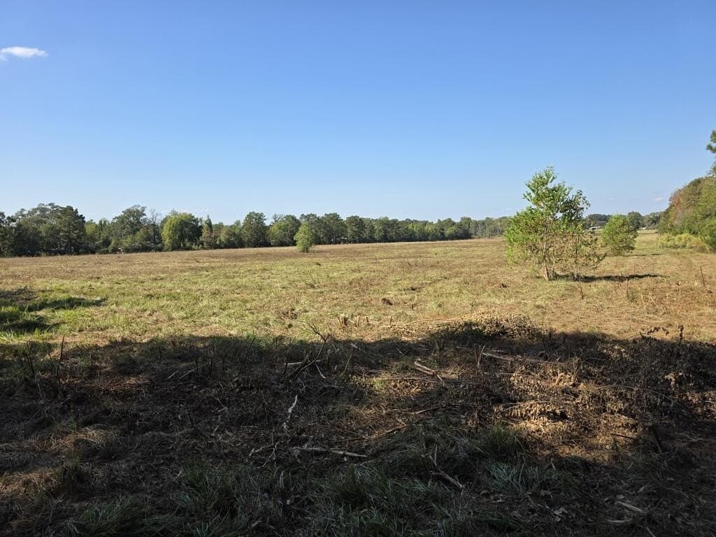 113.6 acres in Texas County - photo 14
