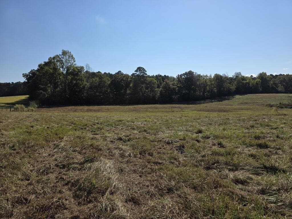 113.6 acres in Texas County - photo 13