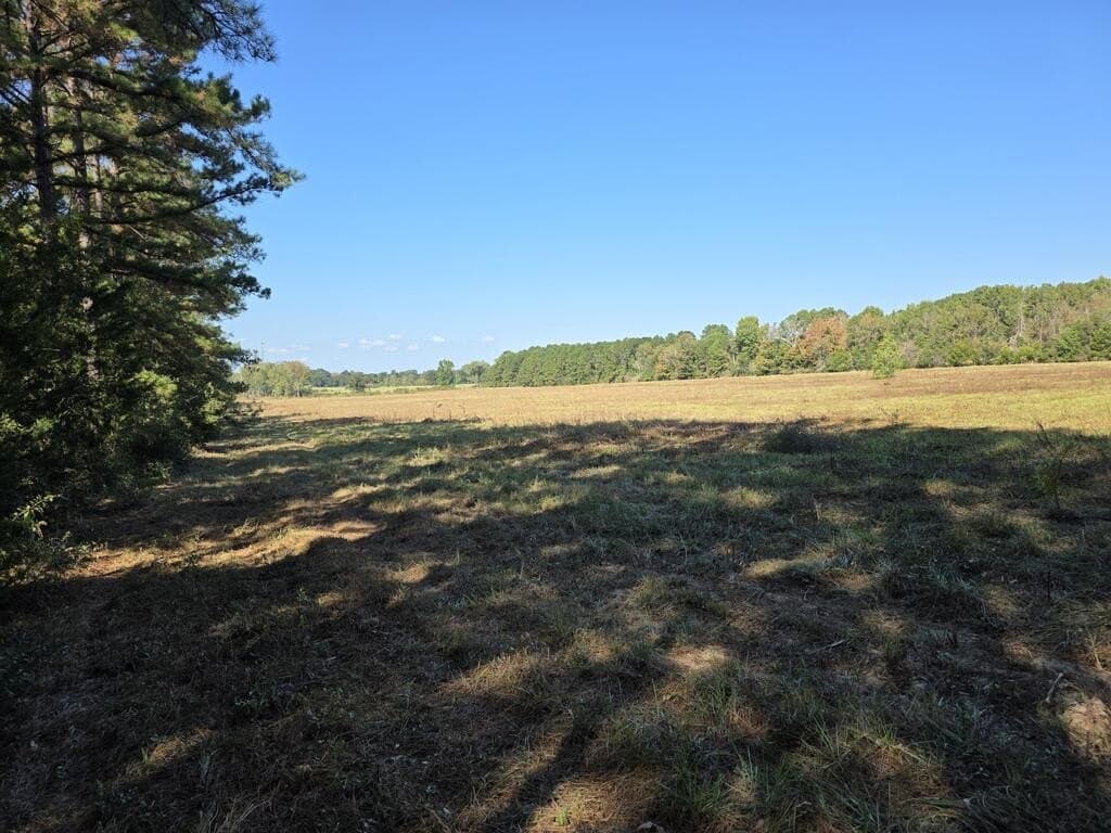 113.6 acres in Texas County - photo 16