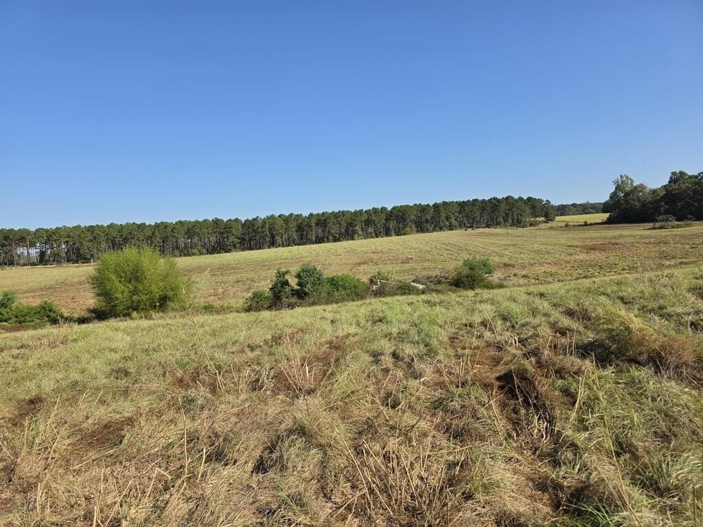 113.6 acres in Texas County - photo 19