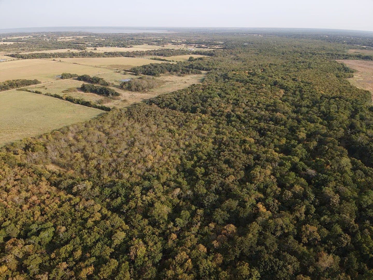 27.62 acres in Delta County - photo 4
