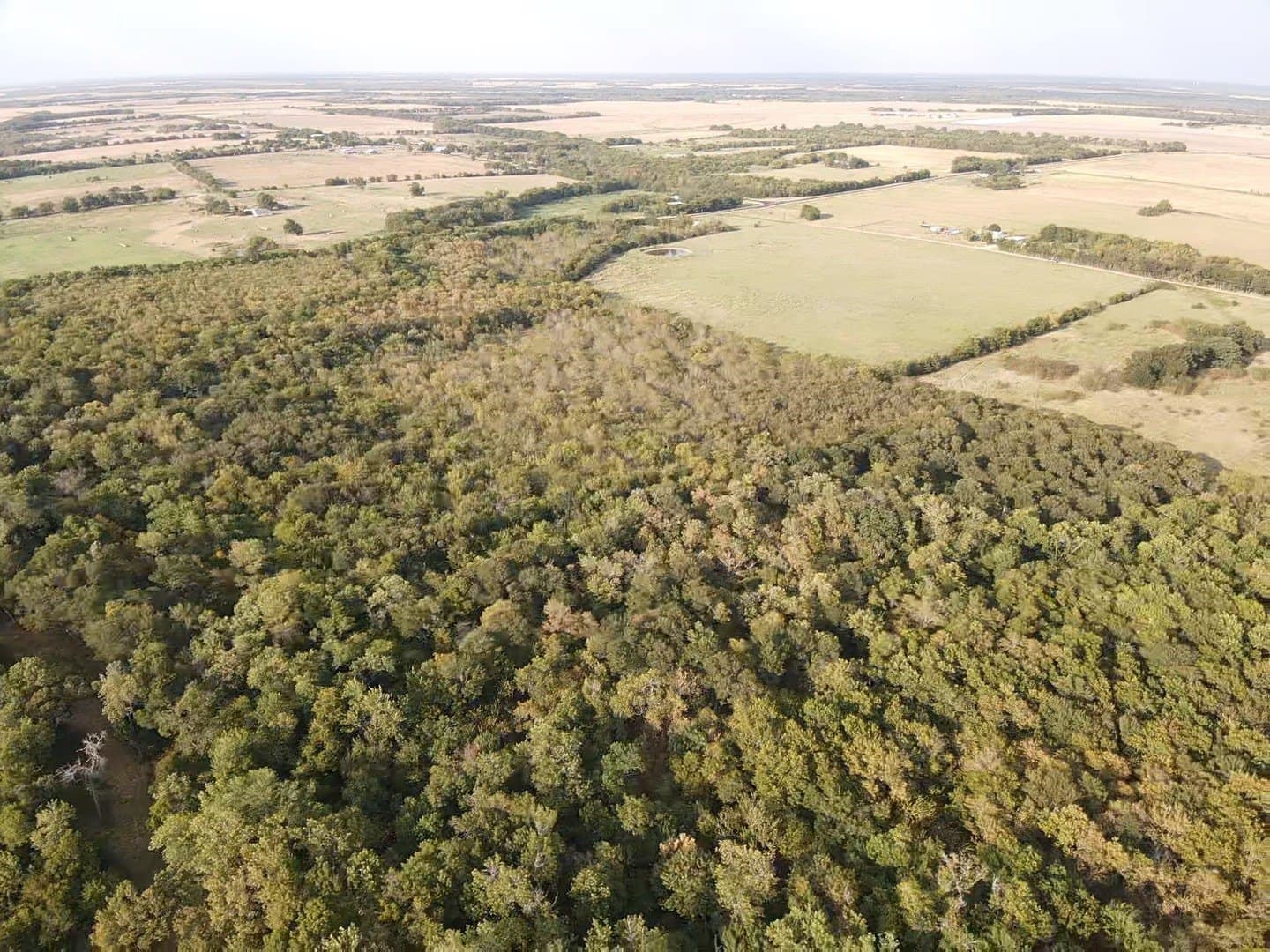 27.62 acres in Delta County - photo 3