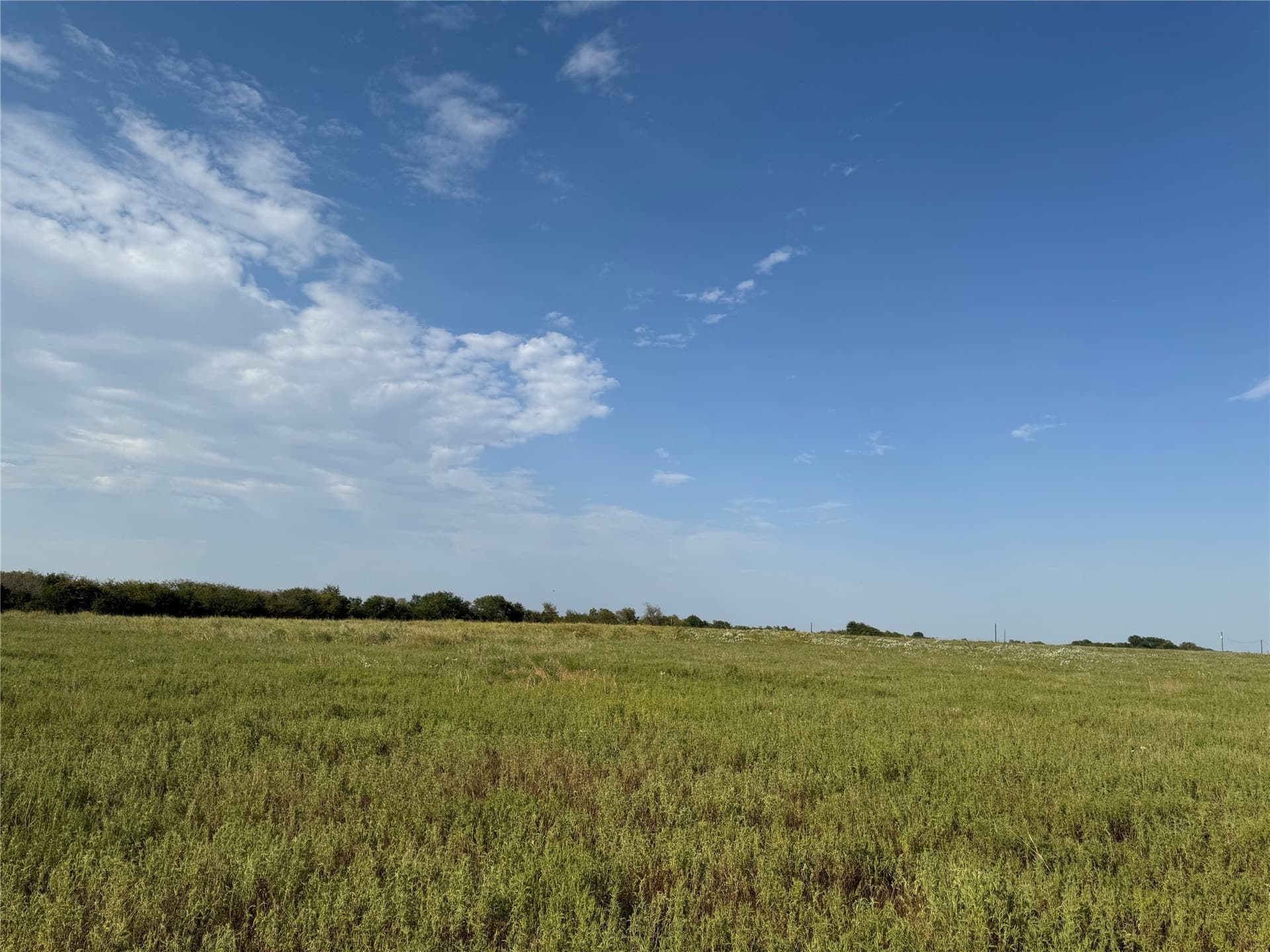 27.62 acres in Delta County - photo 5