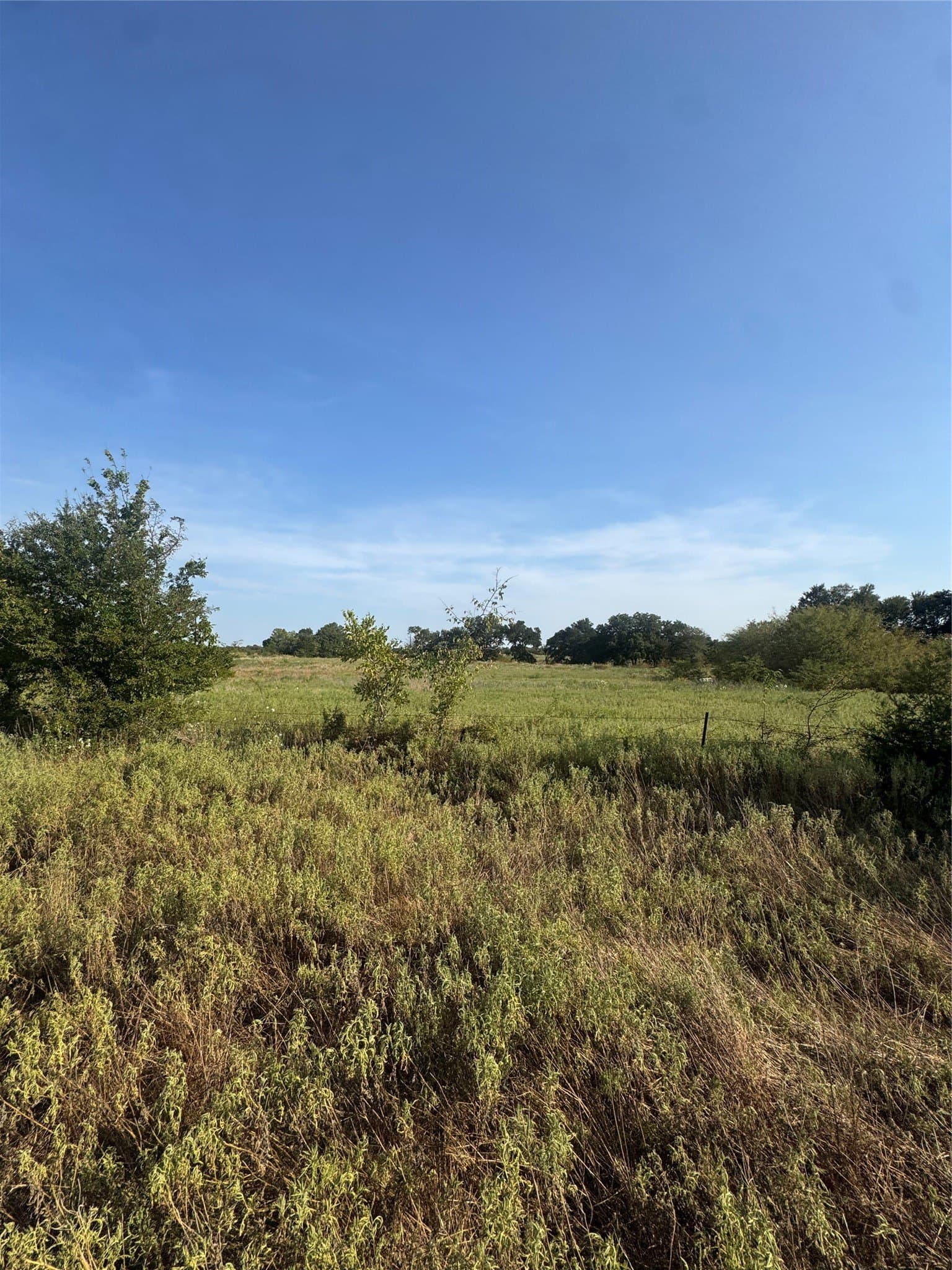 27.62 acres in Delta County - photo 9
