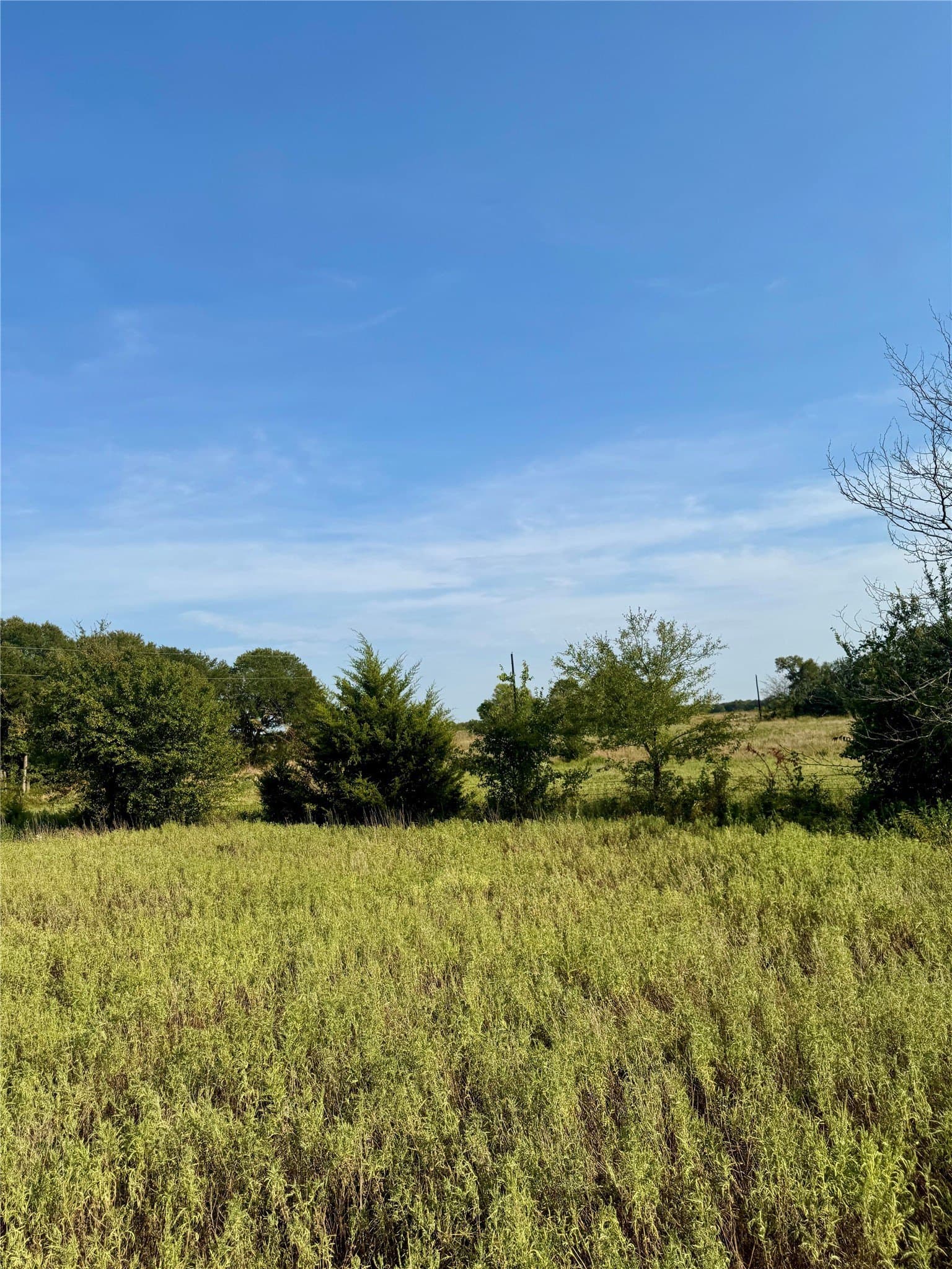 27.62 acres in Delta County - photo 7