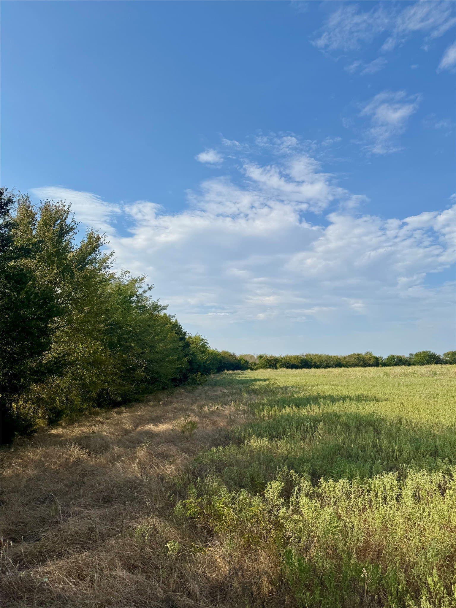 27.62 acres in Delta County - photo 10