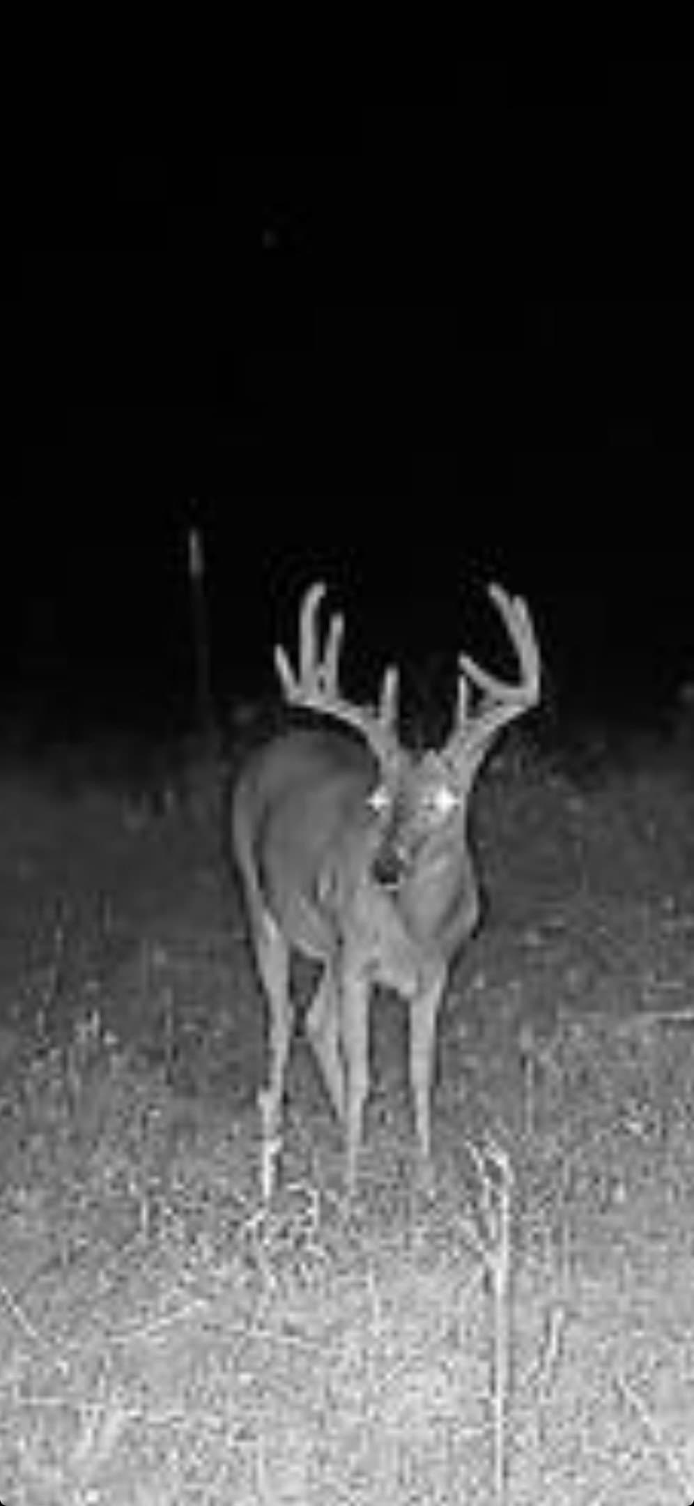 27.62 acres in Delta County - photo 11