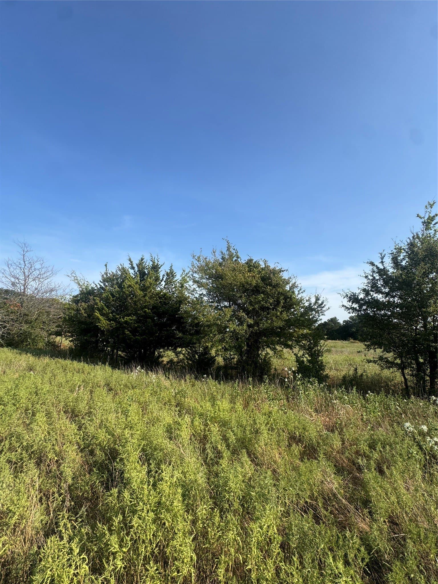 27.62 acres in Delta County - photo 8