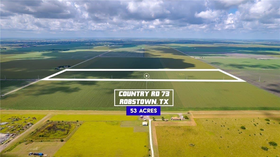 53.33 acres in Nueces County gallery image 3