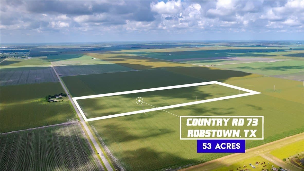 53.33 acres in Nueces County gallery image 4