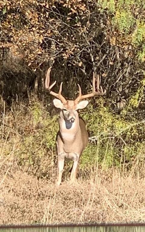 30 acres in Hill County gallery image 3