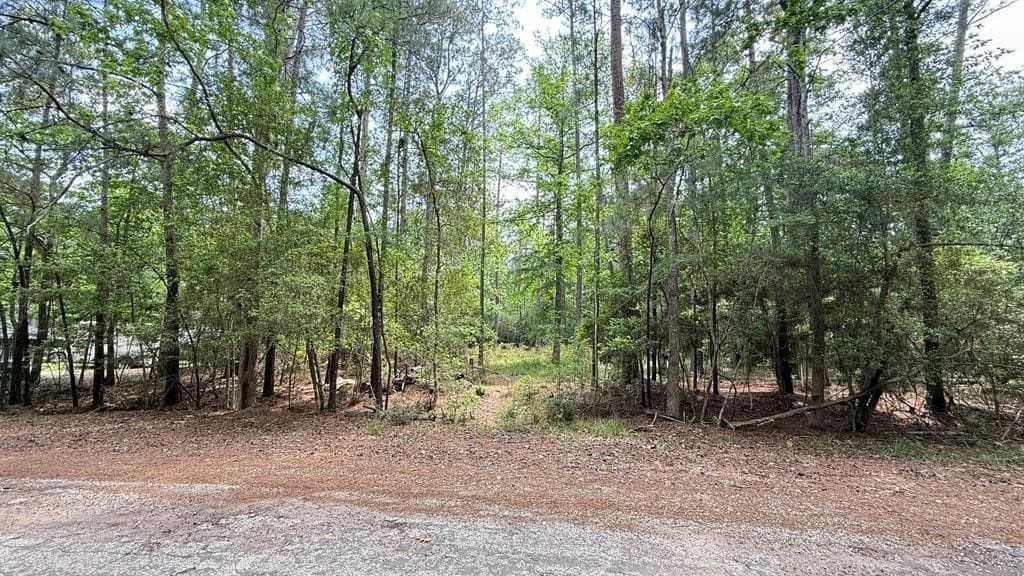 0.23 acres in Texas County gallery image 2