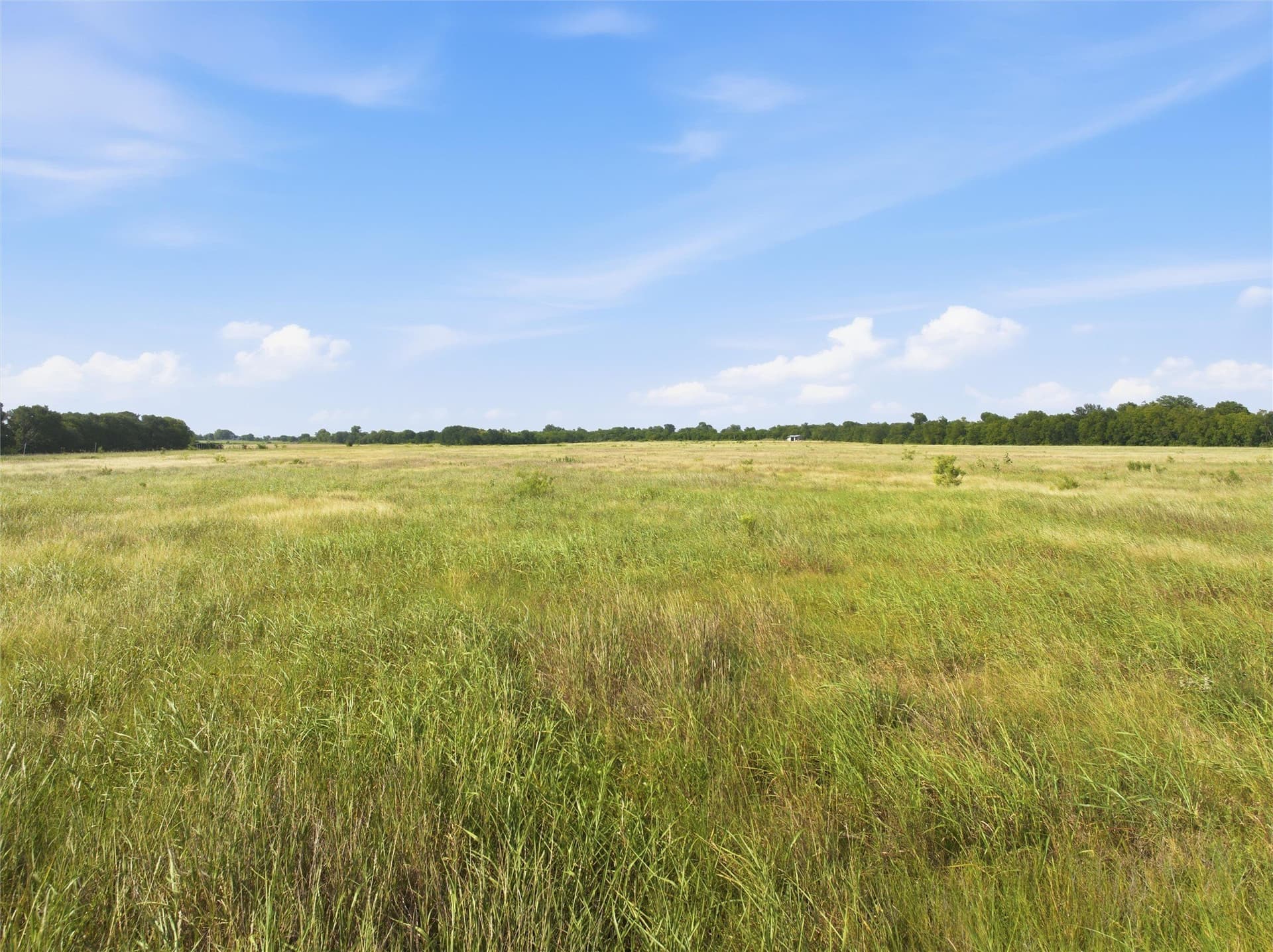 50 acres in Falls County - photo 12