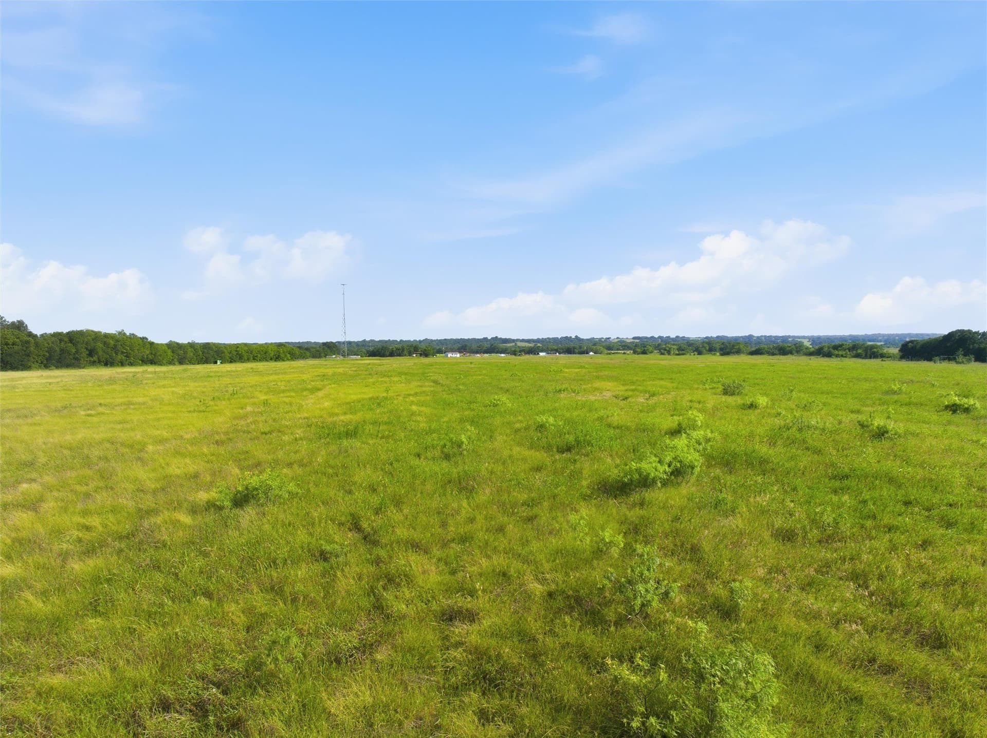 50 acres in Falls County - photo 4