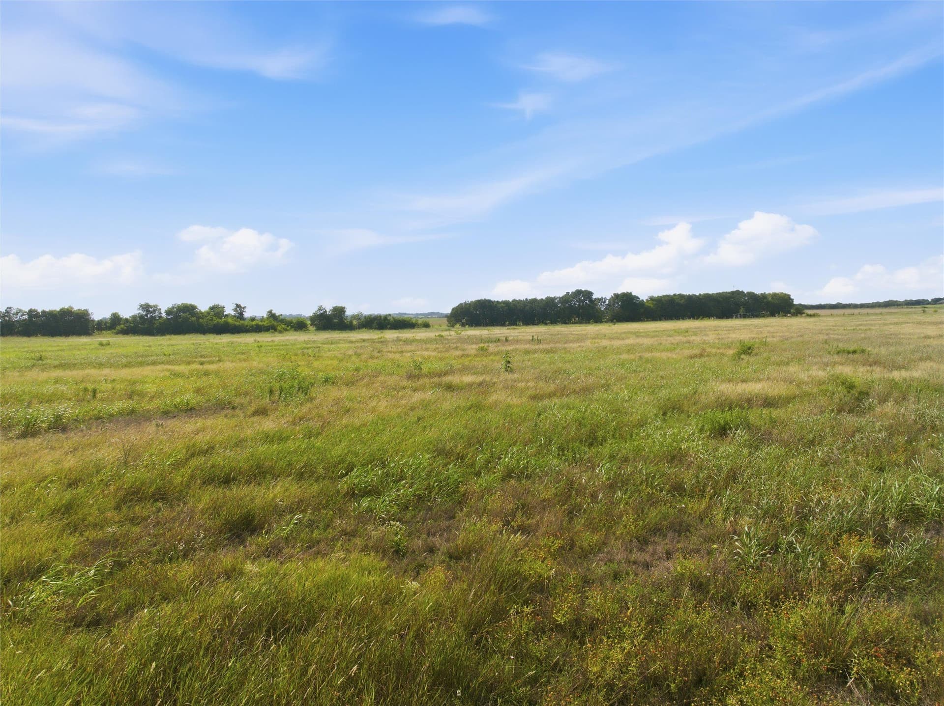 50 acres in Falls County - photo 15