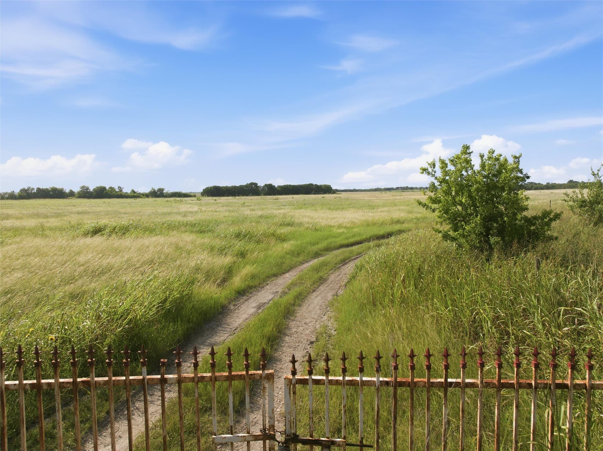 50 acres in Falls County - photo 3