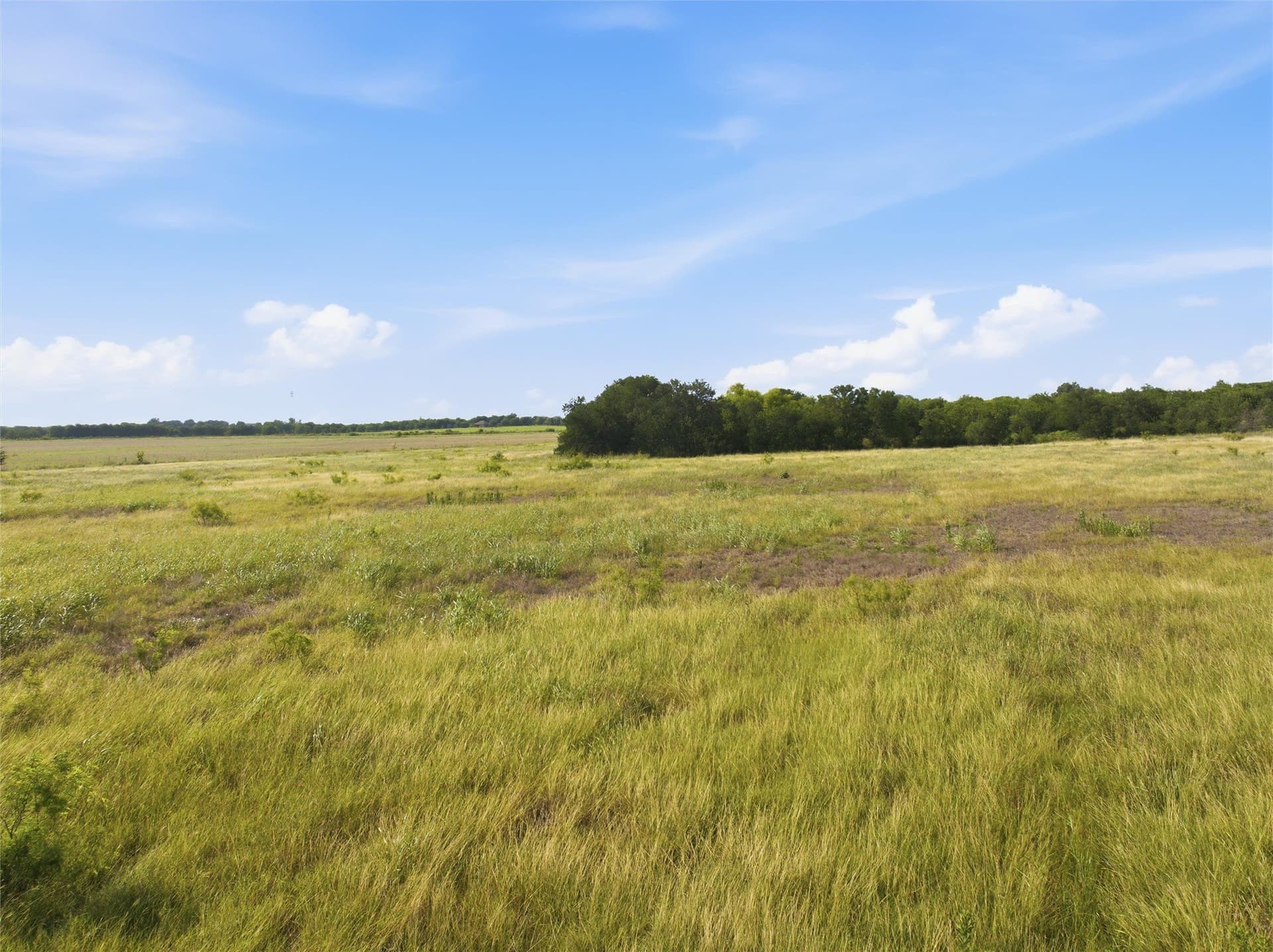 50 acres in Falls County - photo 14