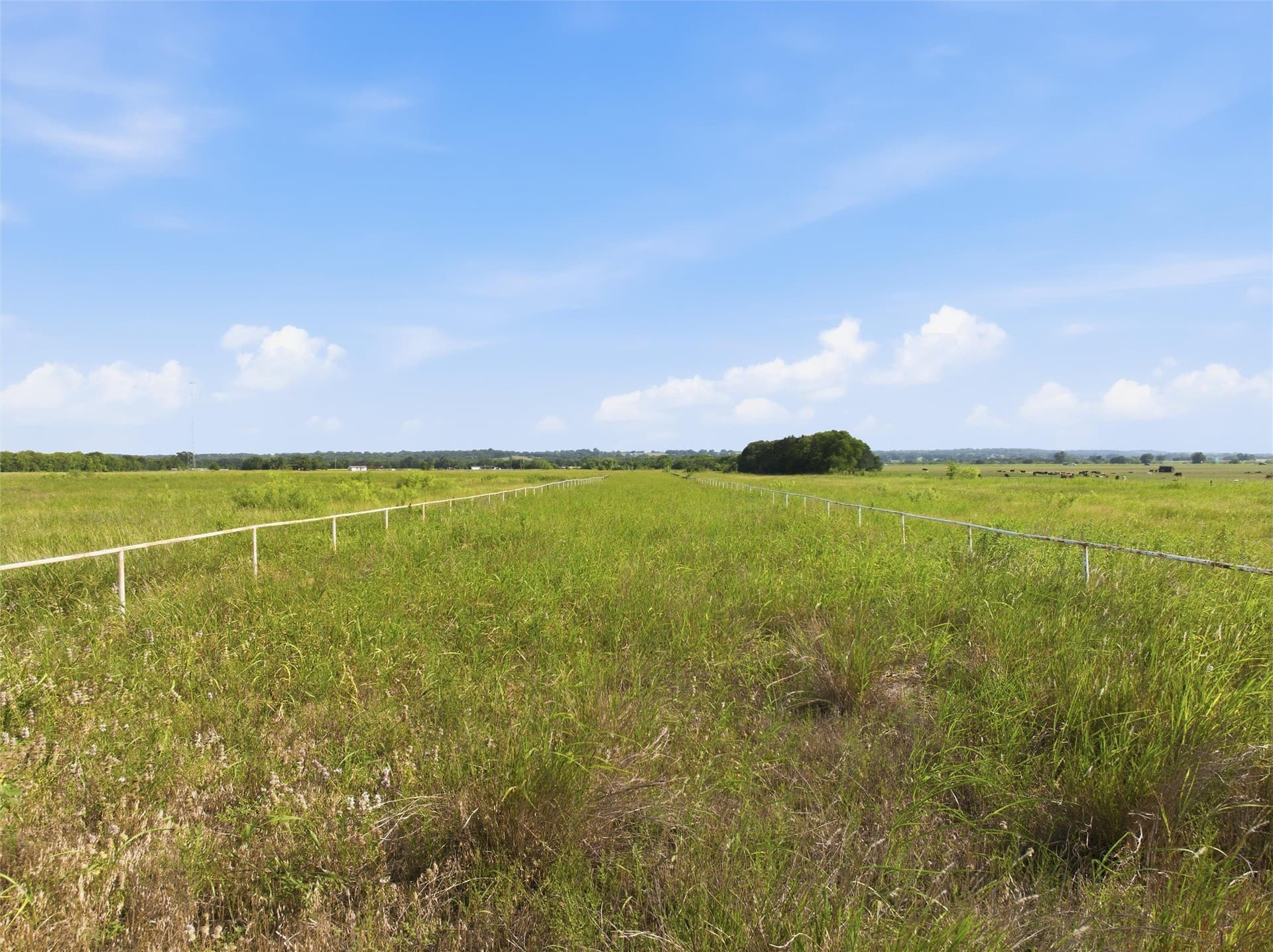 50 acres in Falls County - photo 5