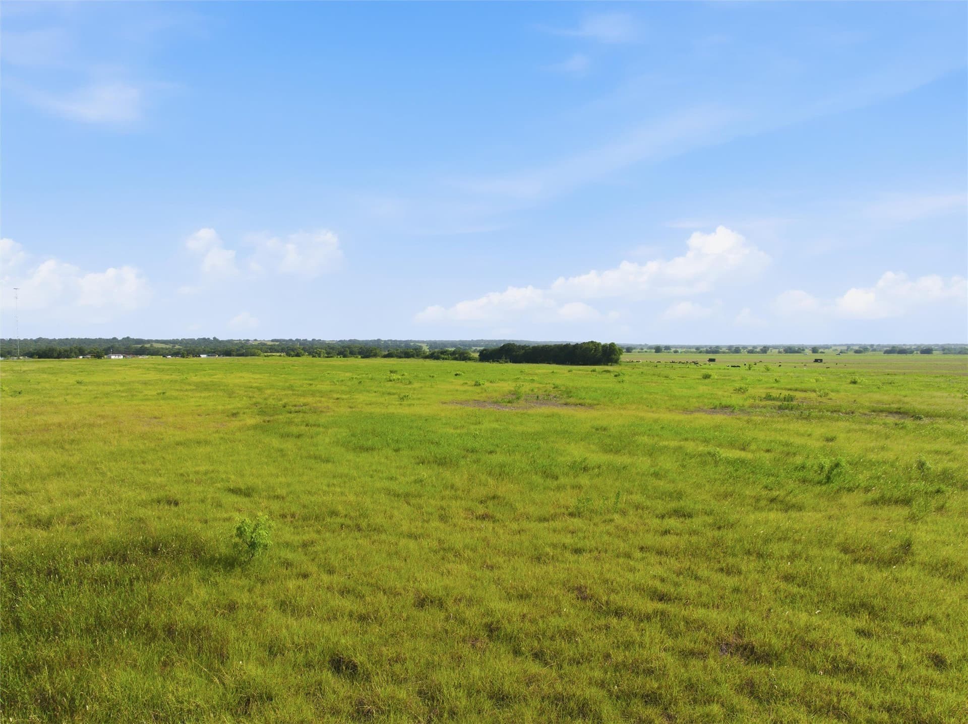 50 acres in Falls County - photo 11
